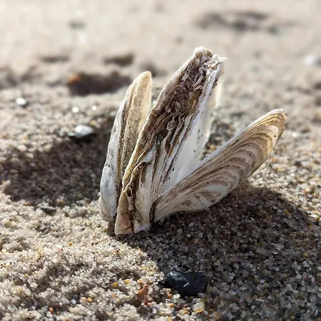 Feriehus Modern With - By Traum *