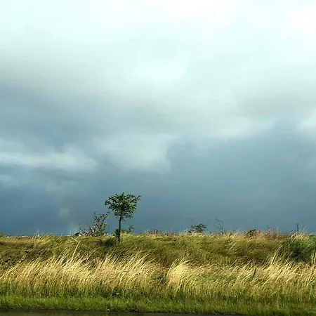 Modern With - By Traum Vinderup