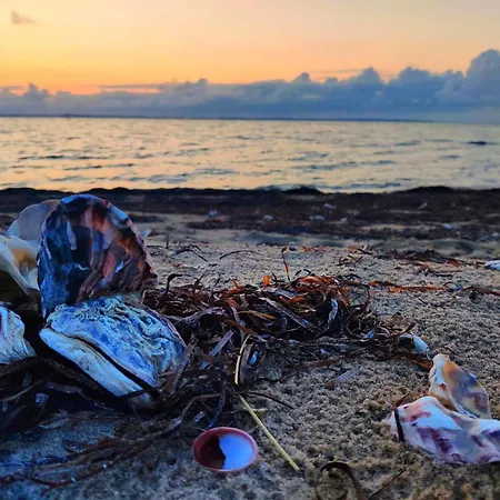 Modern With - By Traum *